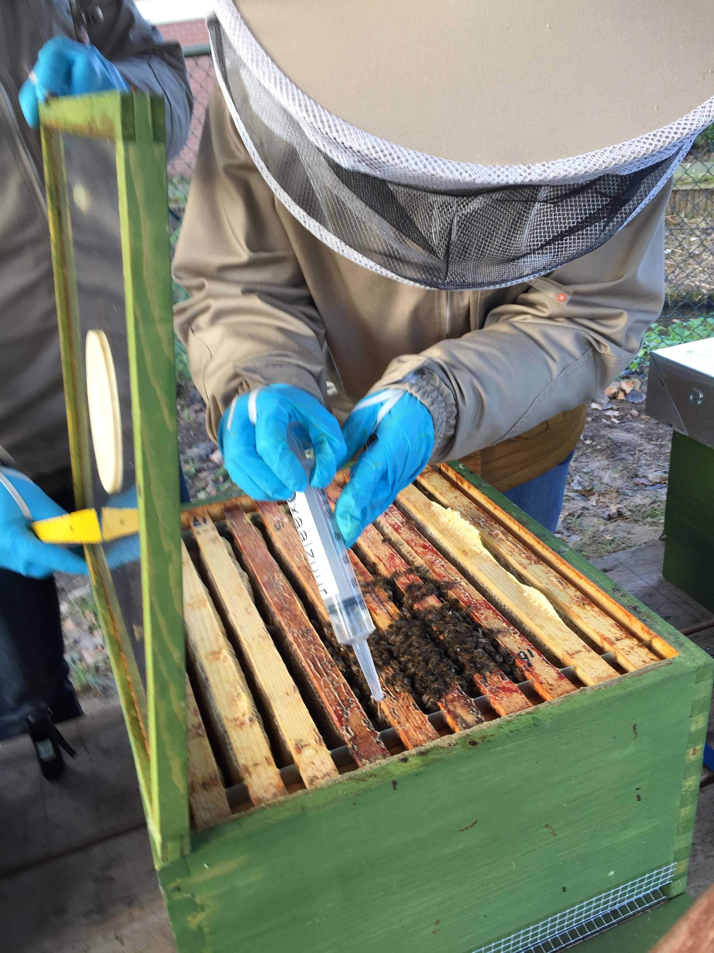 Oxaalzuur behandeling Beestenboel